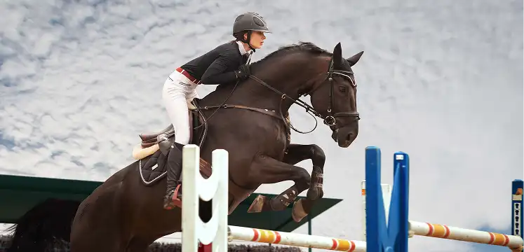 Cheval et cavalier en plein saut lors d’une épreuve hippique