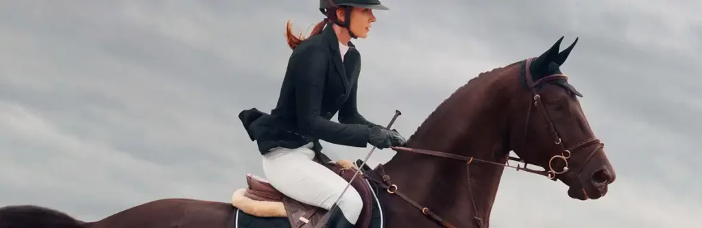 Cheval et cavalier en plein saut lors d’une épreuve hippique
