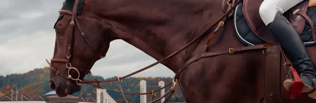Cavalière montant un cheval sur une piste d’entraînement hippique