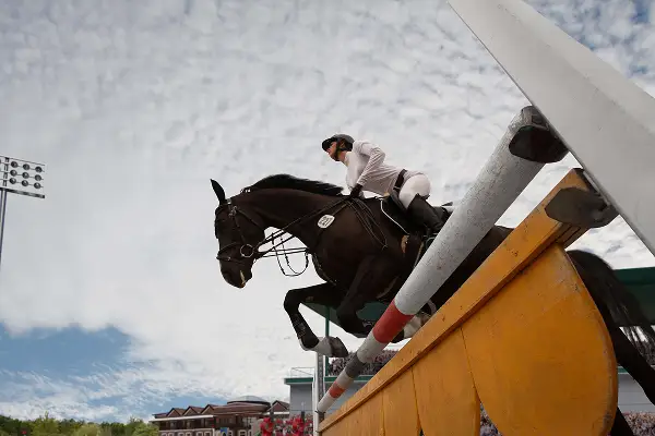 Cheval de compétition sautant une barrière sur un parcours hippique