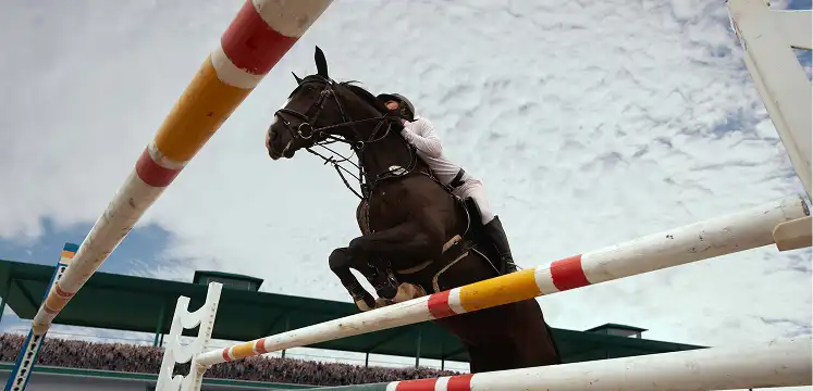 Cheval et cavalier franchissant un obstacle pendant une épreuve